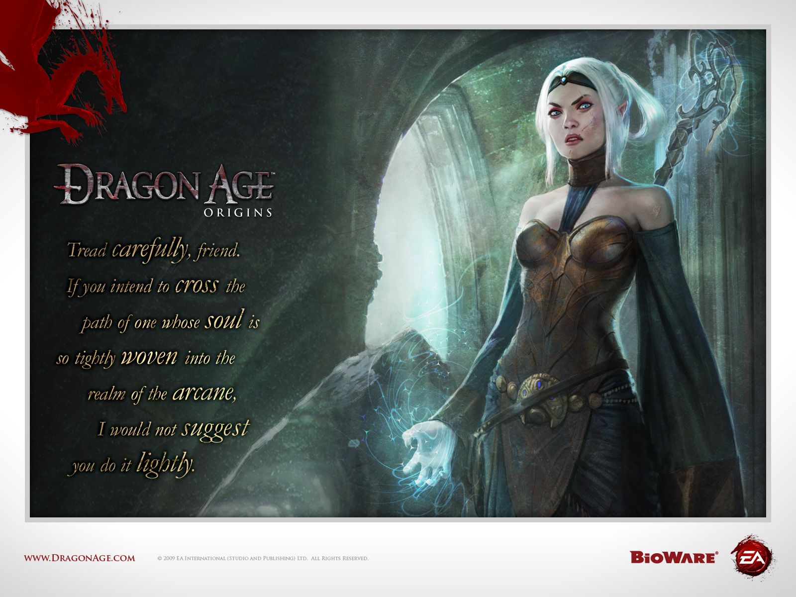 dragon age: origins – Mage Rights or Mage Fights